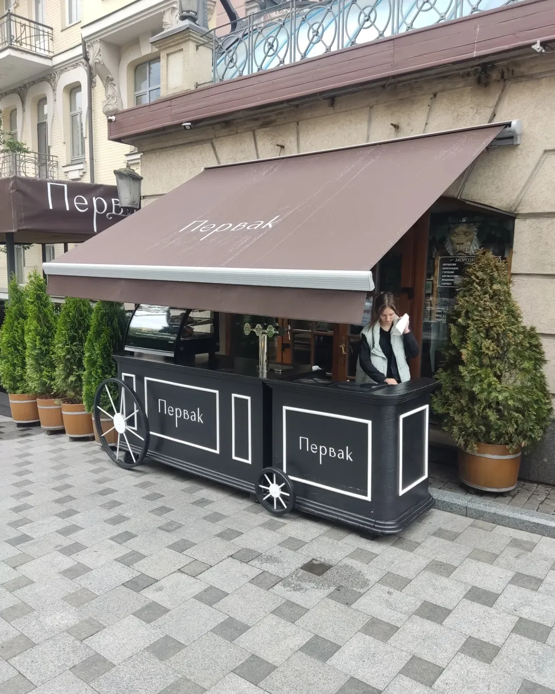 Маркиза локтевая